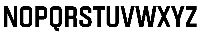 Plaak4Terme 44 BoldB Font UPPERCASE