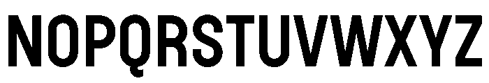 Plaax4Terme 44 Bold Font UPPERCASE