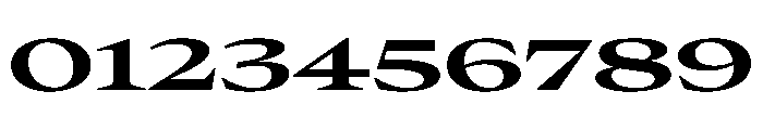 Place Bold Font OTHER CHARS