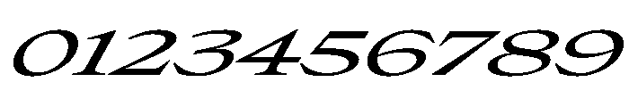 Place Regular Italic Extra Font OTHER CHARS