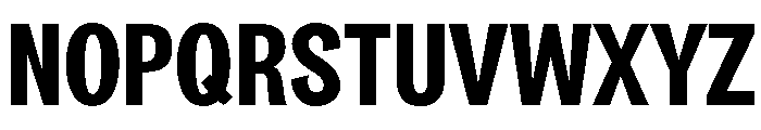 PlakatGrotesk Bold Font UPPERCASE