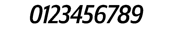 Plang CondensedMediumItalic Instance Font OTHER CHARS