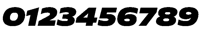 Plang ExpandedBlackItalic Instance Font OTHER CHARS