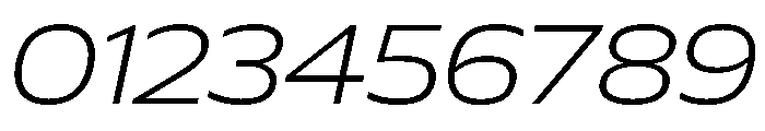 Plang ExpandedExtraLightItalic Instance Font OTHER CHARS