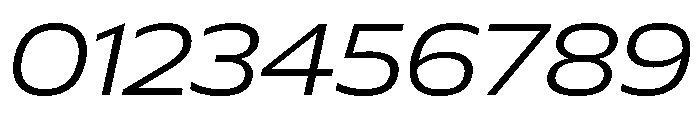 Plang ExpandedLightItalic Instance Font OTHER CHARS