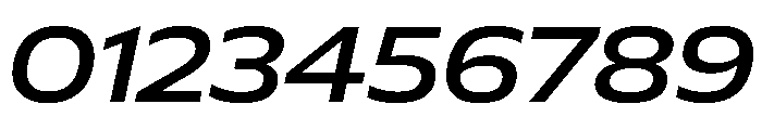 Plang ExpandedMediumItalic Instance Font OTHER CHARS