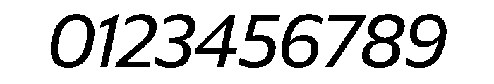 Plang Italic Instance Font OTHER CHARS