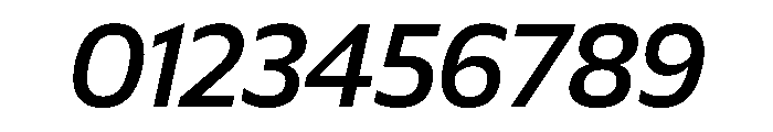 Plang MediumItalic Instance Font OTHER CHARS
