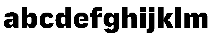 PlastiqueSans Heavy FONT
