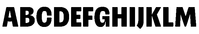 Please Bold Font UPPERCASE