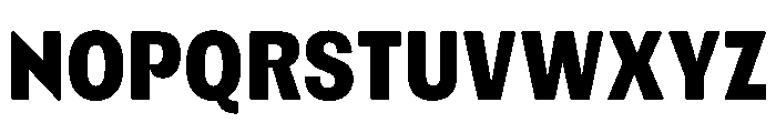 Please Bold Font UPPERCASE