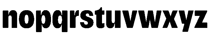Please Bold Font LOWERCASE