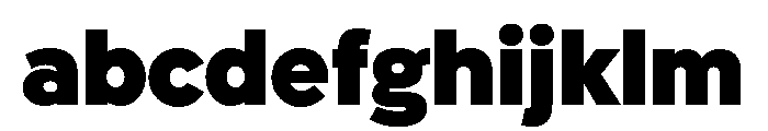 PloniMLv2AAA Black FONT