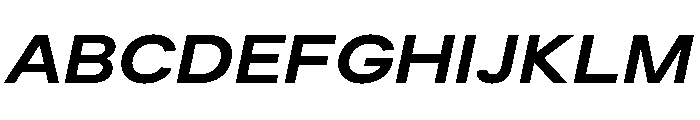 Plaid L Italic Font UPPERCASE