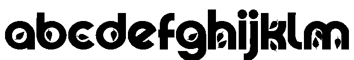 PN Autumn Groove Bold FONT
