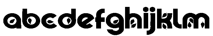 PN Autumn Groove Expanded Bold FONT