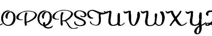 PN Autumn Groove Script Bold Font UPPERCASE