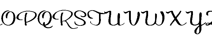 PN Autumn Groove Script Font UPPERCASE