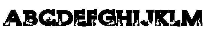 PN Bunny Shadow Serif Font UPPERCASE