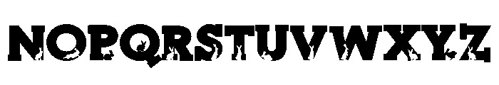 PN Bunny Shadow Serif Font UPPERCASE