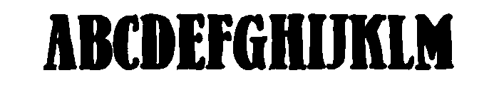 PN Gouda Looking Bold Font UPPERCASE