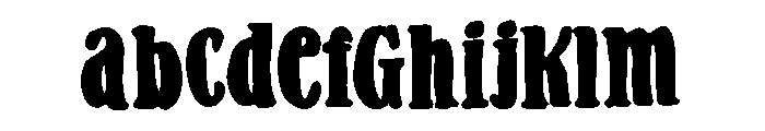 PN Gouda Looking Bold FONT