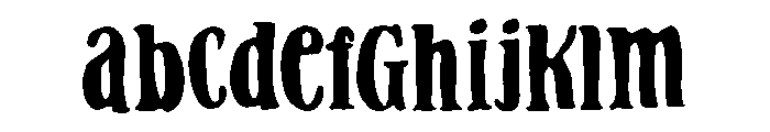 PN Gouda Looking FONT
