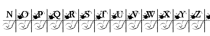 PN Mortarboard Monogram Expanded Font UPPERCASE