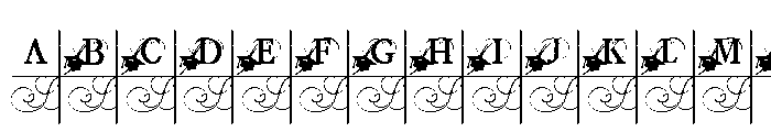 PN Mortarboard Monogram Font UPPERCASE