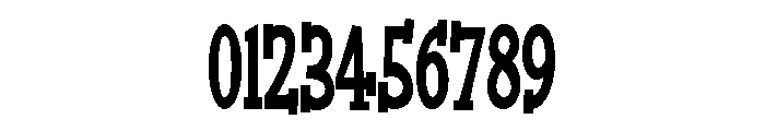 PN Willard Bay Font OTHER CHARS