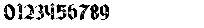 PN Cantonbloom Condensed Font OTHER CHARS