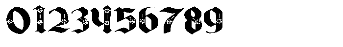 PN Cantonbloom Expanded Font OTHER CHARS