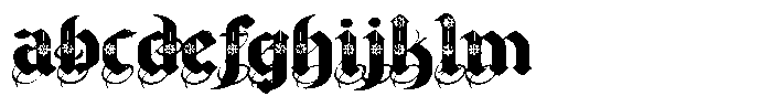 PN Cantonbloom More FONT