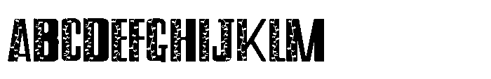 PN City Lalalights Regular Font UPPERCASE
