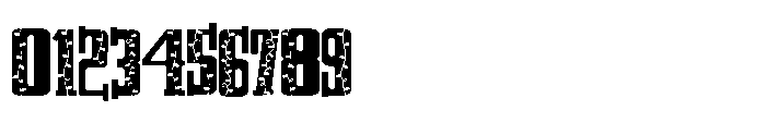 PN City Lalalights Serif Font OTHER CHARS