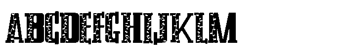 PN City Lalalights Serif Font UPPERCASE