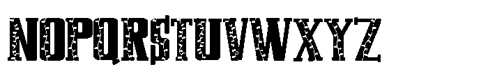 PN City Lalalights Serif Font UPPERCASE