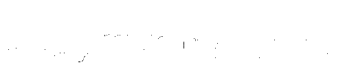 PN Elfologist Tags FONT