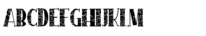 PN Longmire Lace Serif Semi-condensed Font UPPERCASE