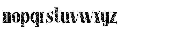 PN Longmire Lace Serif Font LOWERCASE