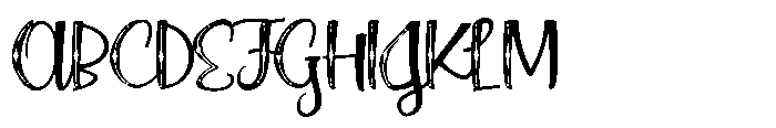PN Noel Nuevo Script Condensed Font UPPERCASE