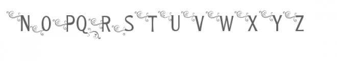 pn willow sans flouish monogram Font UPPERCASE