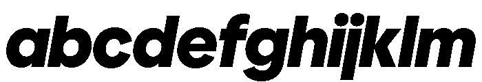 Polymath Display Black Italic FONT