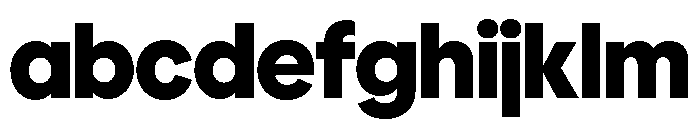 Polymath Display Black FONT