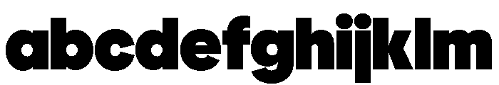 Polymath Display Super FONT