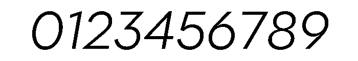 Polymath Light Italic Font OTHER CHARS