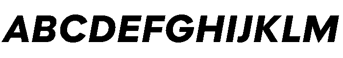 Polymath Text Black Italic Font UPPERCASE