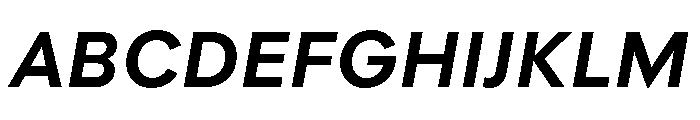 Polymath Text Bold Italic Font UPPERCASE