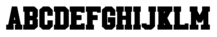 Police Flag Styled 2 FONT