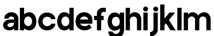 Polyarny Regular FONT